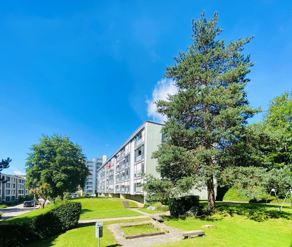 Spelterinistrasse 24