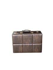 Koffer Schmuckbox braun