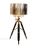 Stehlampe Tipod Luxus 