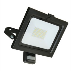 Sensor Strahler ZL 50W schwarz